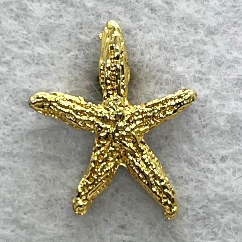 ๐ฎ 5/$25 Vintage Starfish Pinโ